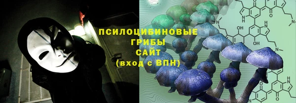 прущая мука Вязьма