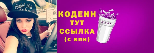 стаф Вяземский
