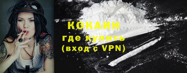 стаф Вяземский