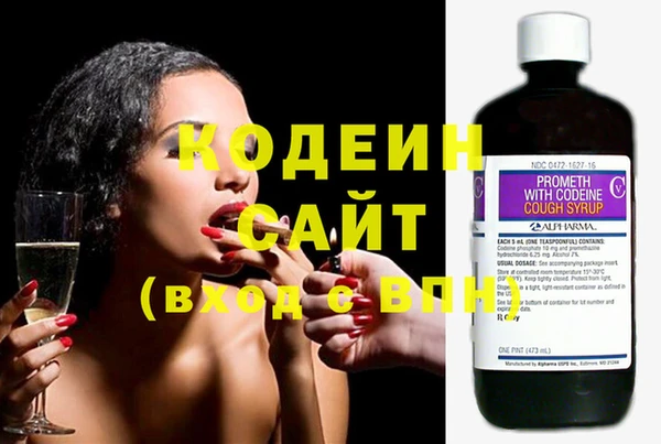 стаф Вяземский