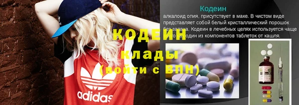 стаф Вяземский
