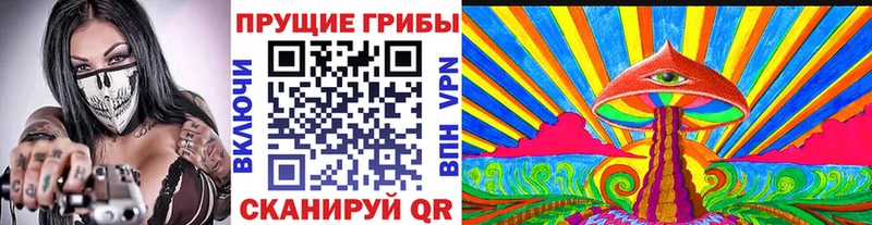 Псилоцибиновые грибы Cubensis  Шатура 