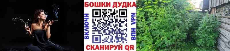 Бошки марихуана OG Kush Шатура